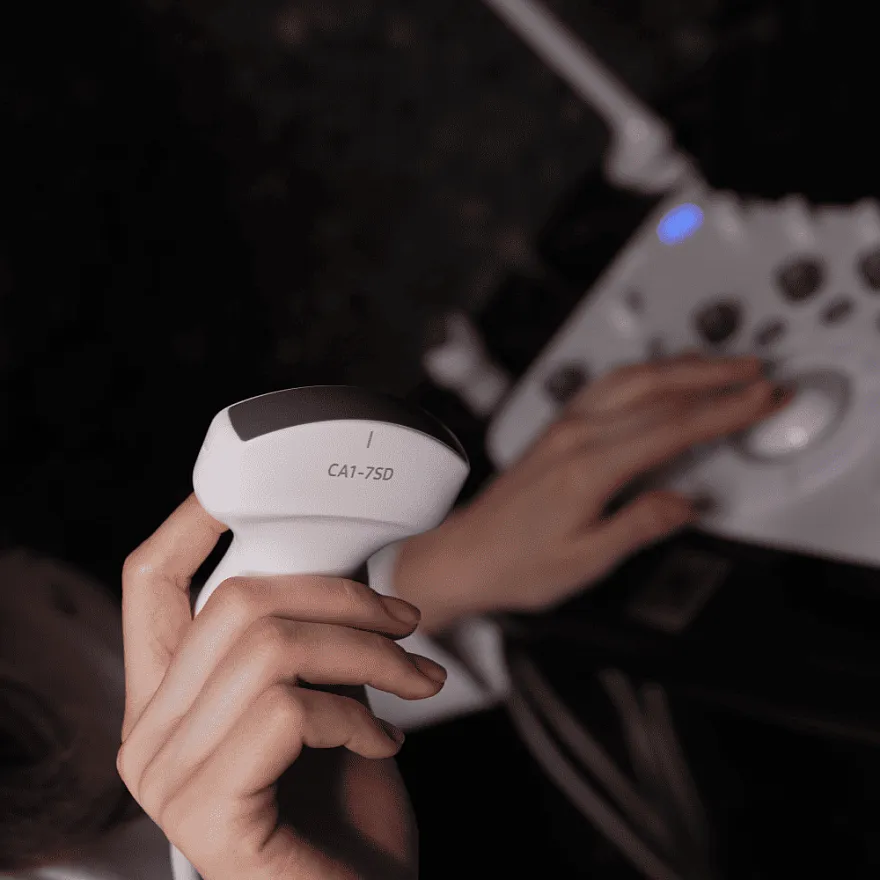 Услуги: женские половые органы